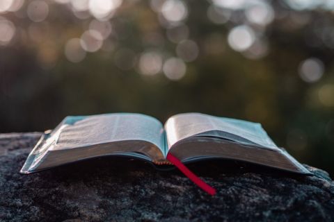 Niedziela Słowa Bożego